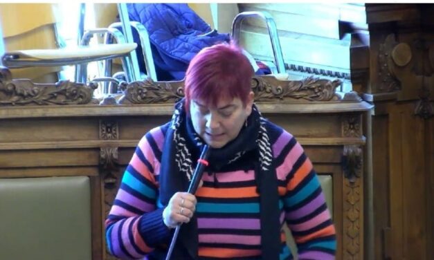 Intervención en el pleno de diciembre 2025