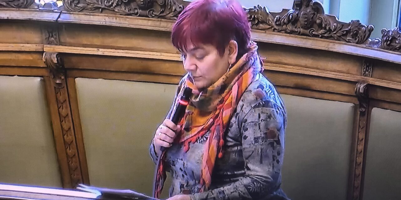 Intervención Pleno. Aprobación Plan de Vivienda